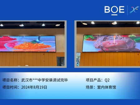 湖北武漢市***中學安裝調(diào)試完畢