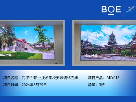 湖北武漢***職業(yè)技術(shù)學(xué)校安裝調(diào)試完畢